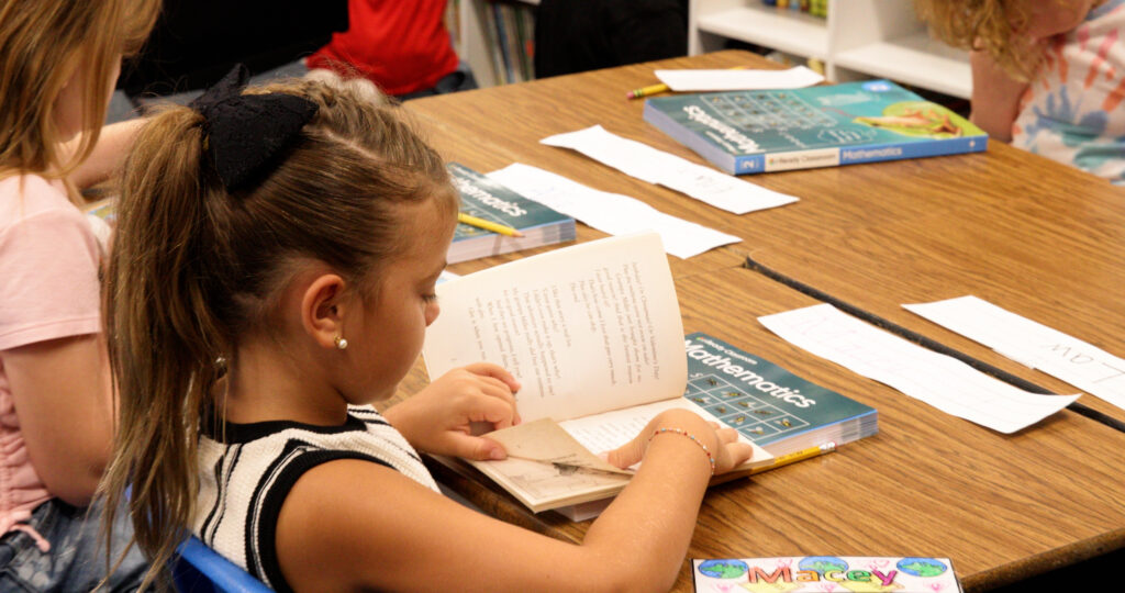 Litchfield elementary child in class